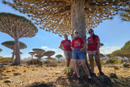 Socotra_2025 (45/76)